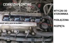 Silnik z widocznymi cewkami zapłonowymi. Wtyczki od sterownika, podłączona i rozpięta. Objawy awarii cewki zapłonowej mogą być różne.