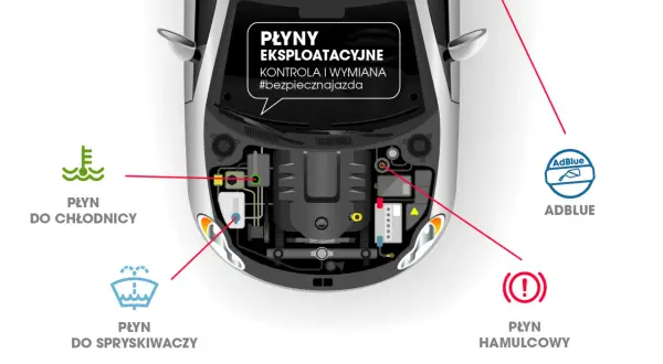 Schemat pod maską samochodu pokazuje lokalizację płynów eksploatacyjnych. Wymiana płynu hamulcowego jest kluczowa dla bezpieczeństwa.